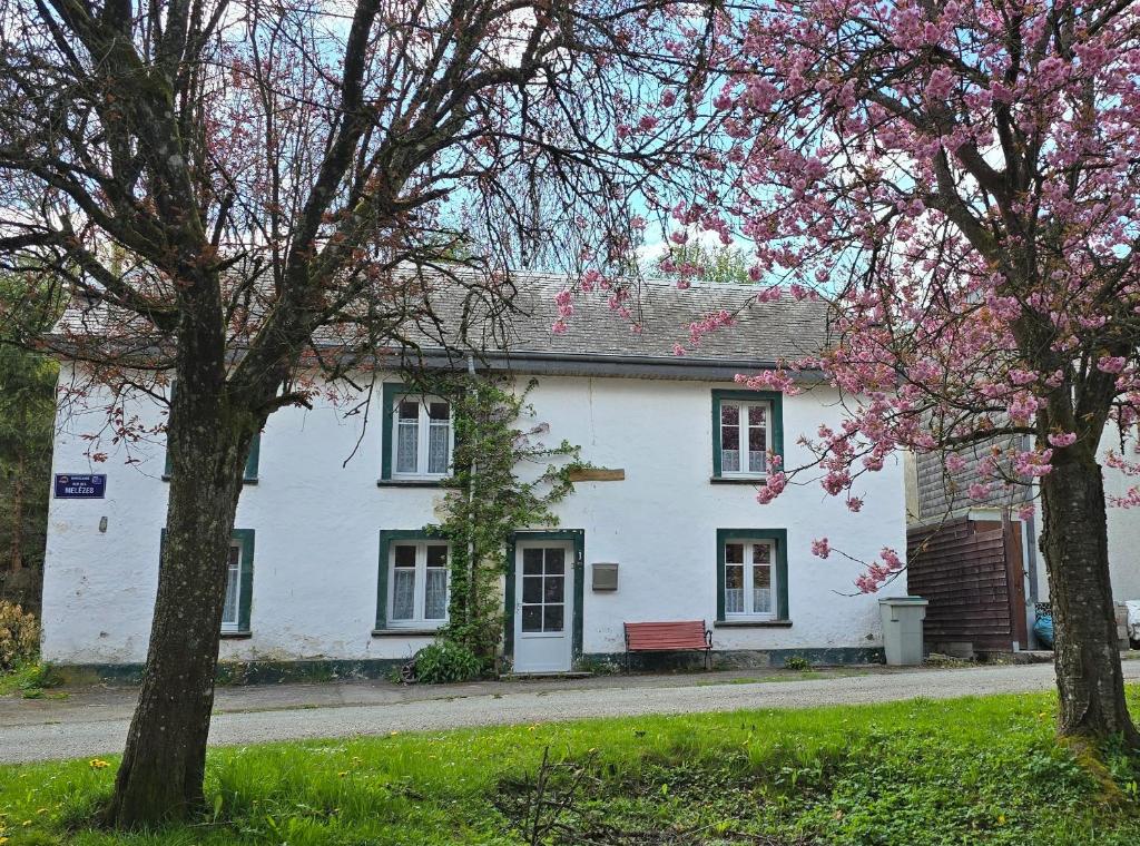a white house with trees in front of it at La Maison Ôtrement in Martelange