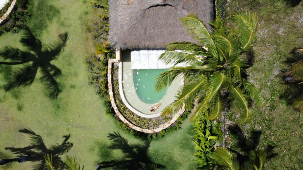 an overhead view of a pool and a house with a palm tree at Primitivo Hotel & Villas in Passo de Camarajibe