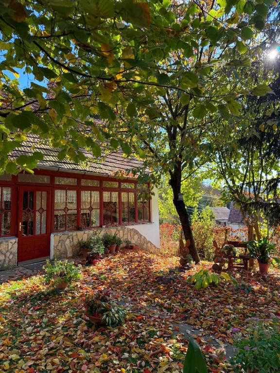 a garden with leaves on the ground in front of a building at Casa Szatina in Kishajmás