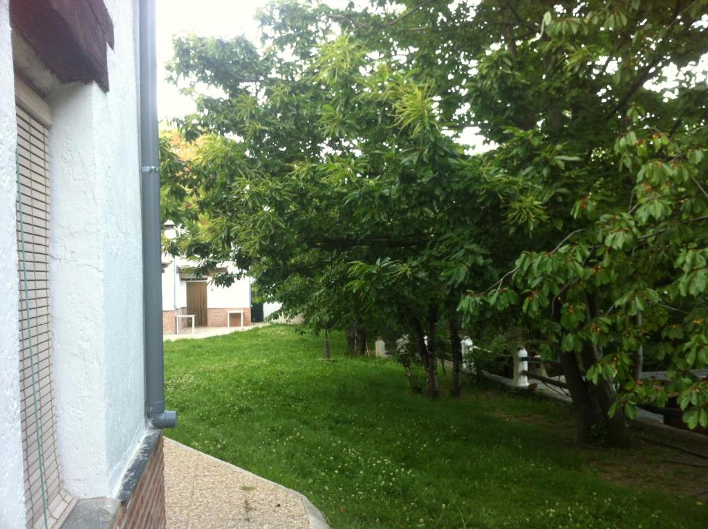 a view from a window of a yard with trees at Camping El Balcon de Pitres in Pitres