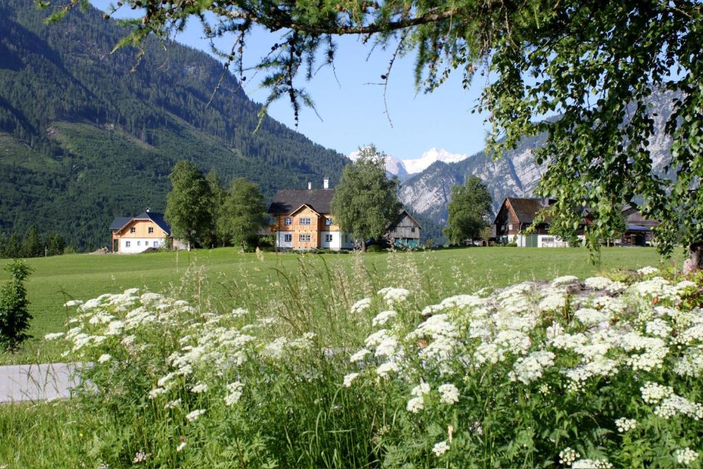 a field of flowers with houses and mountains in the background at Stanglhof - by myNests in Bad Aussee