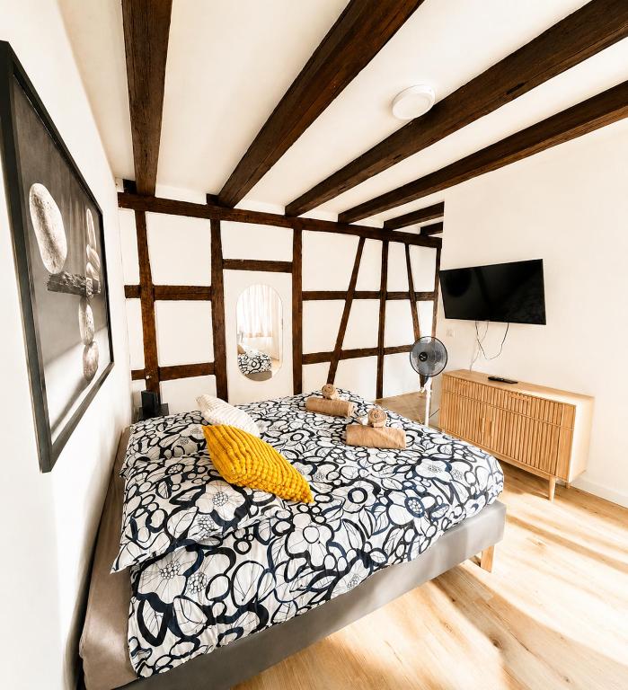 Appart cosy - Centre - Charme alsacien - Strasbnb