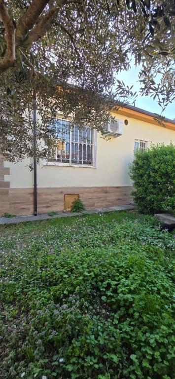 a building with a bench in front of a yard at Shkodra Green Heart in Shkodër