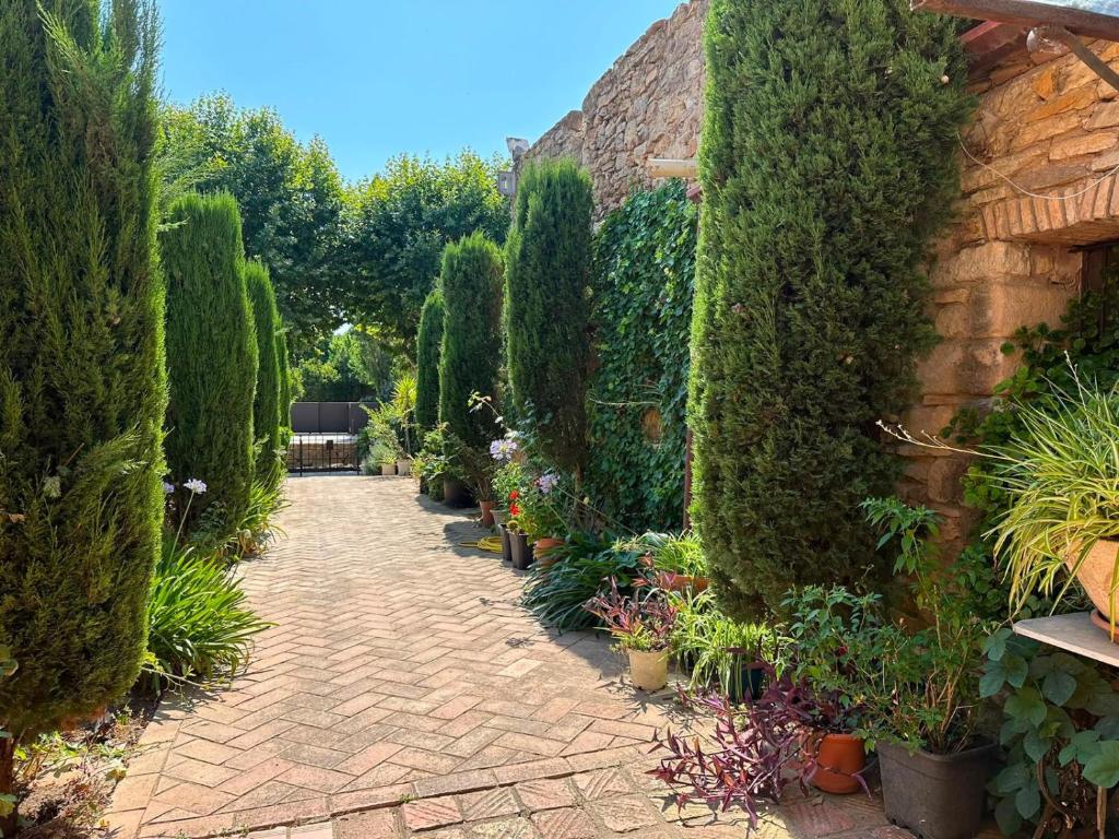 a garden with trees and plants on a brick path at Hostal La Riera de Peratallada in Peratallada