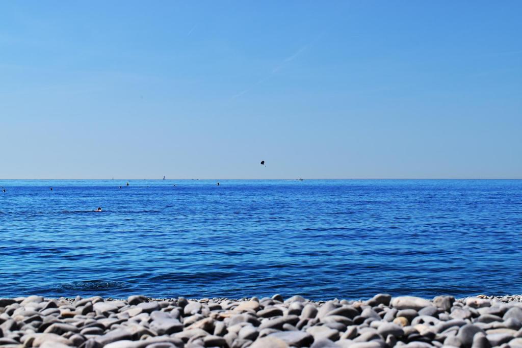 Riviera Douce Vie Nice