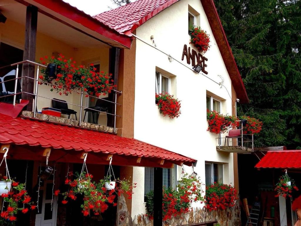 a building with flower boxes on the balconies of it at Cabana Andre Vartop in Vartop