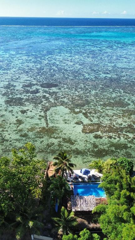 Secret Spot Lagoon Dream - photo 11 - Moorea, Polynésie