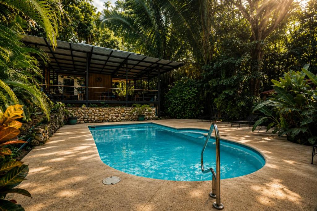 a swimming pool in the middle of a yard at Believe Surf & Yoga Lodge Santa Teresa in Santa Teresa Beach