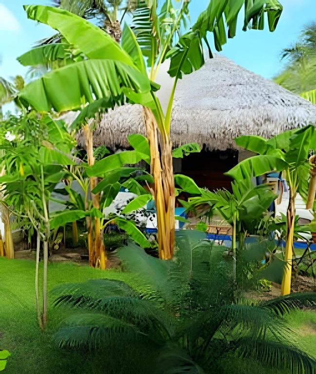 atropical resort with a straw umbrella and palm trees at Mandala House - Kite Village in Icaraí