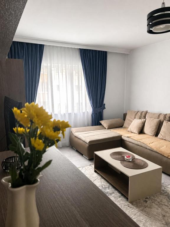 a living room with a couch and a coffee table at Borșa ApartHotel 4 in Borşa
