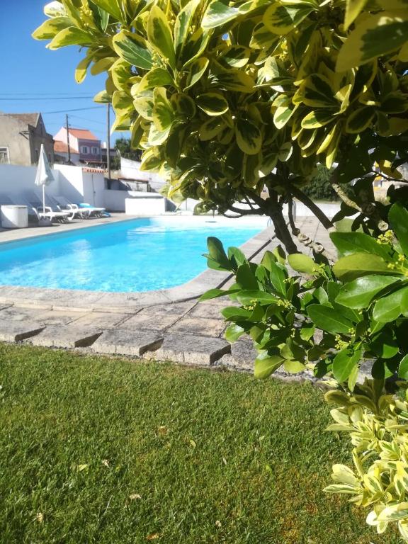 a swimming pool in a yard with a tree at Camarção Violante in Foz do Arelho