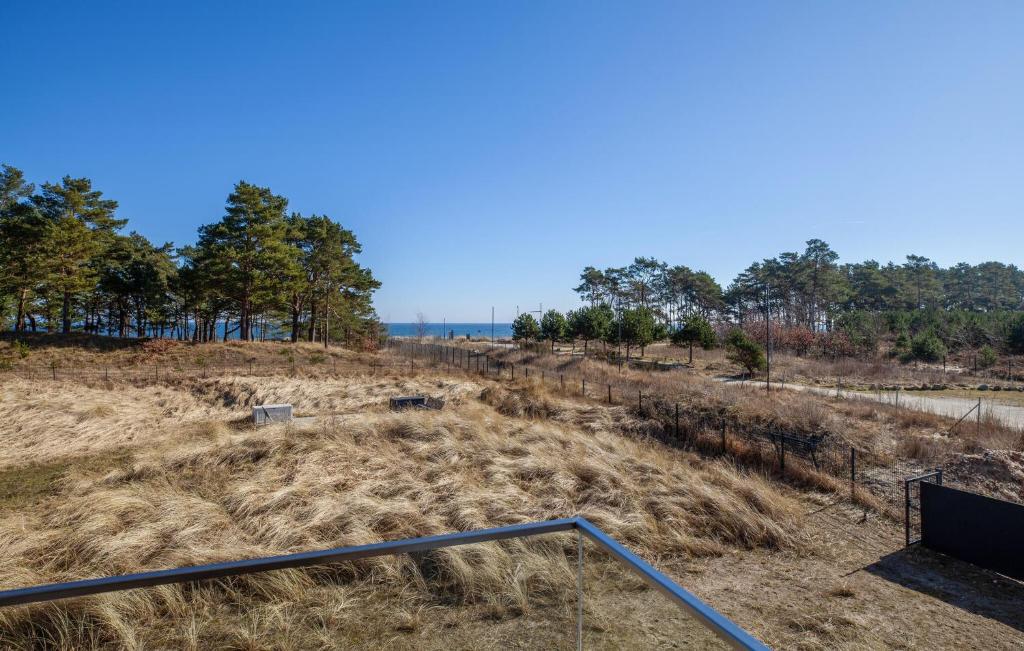 a field of hay with trees in the background at Amber in Binz