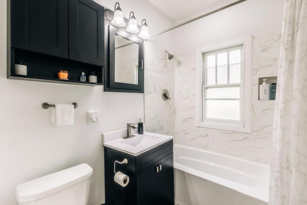 a bathroom with a sink and a tub and a mirror at Minnehaha Falls Hideaway in Minneapolis