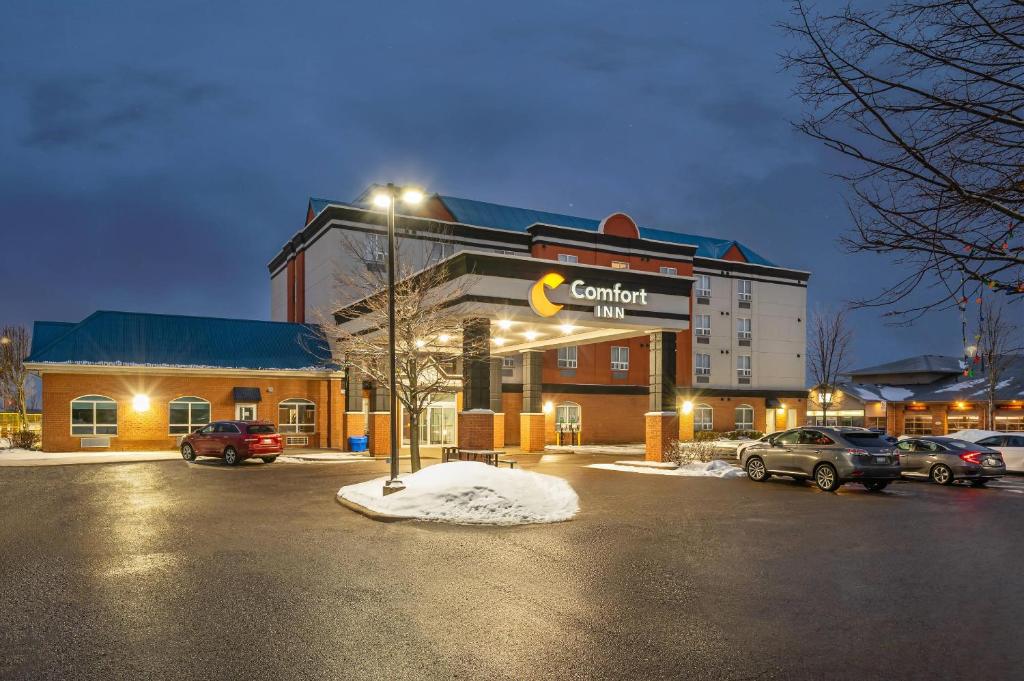 a building with a car dealership in a parking lot at Comfort Inn in Mississauga