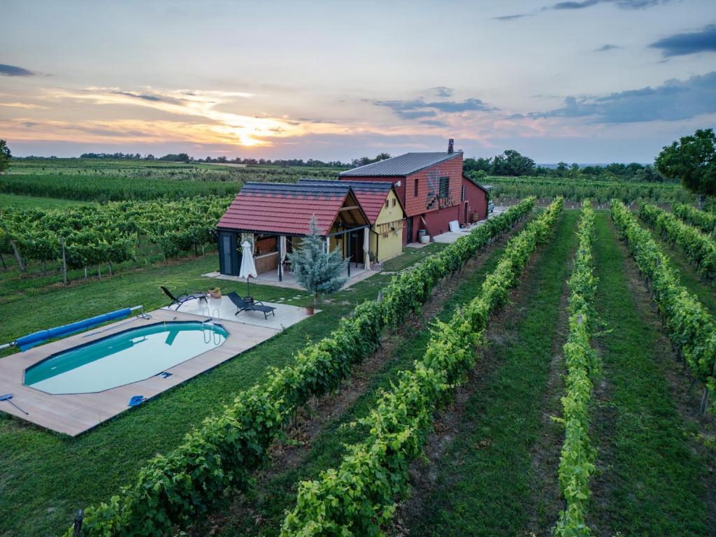 an overhead view of a farm house and a pool in a field at Casa VIDA in Neštin