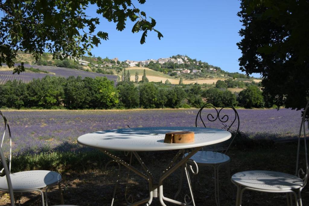 a table and chairs in front of a field of lavender at La Bergerie en Provence in Puimichel