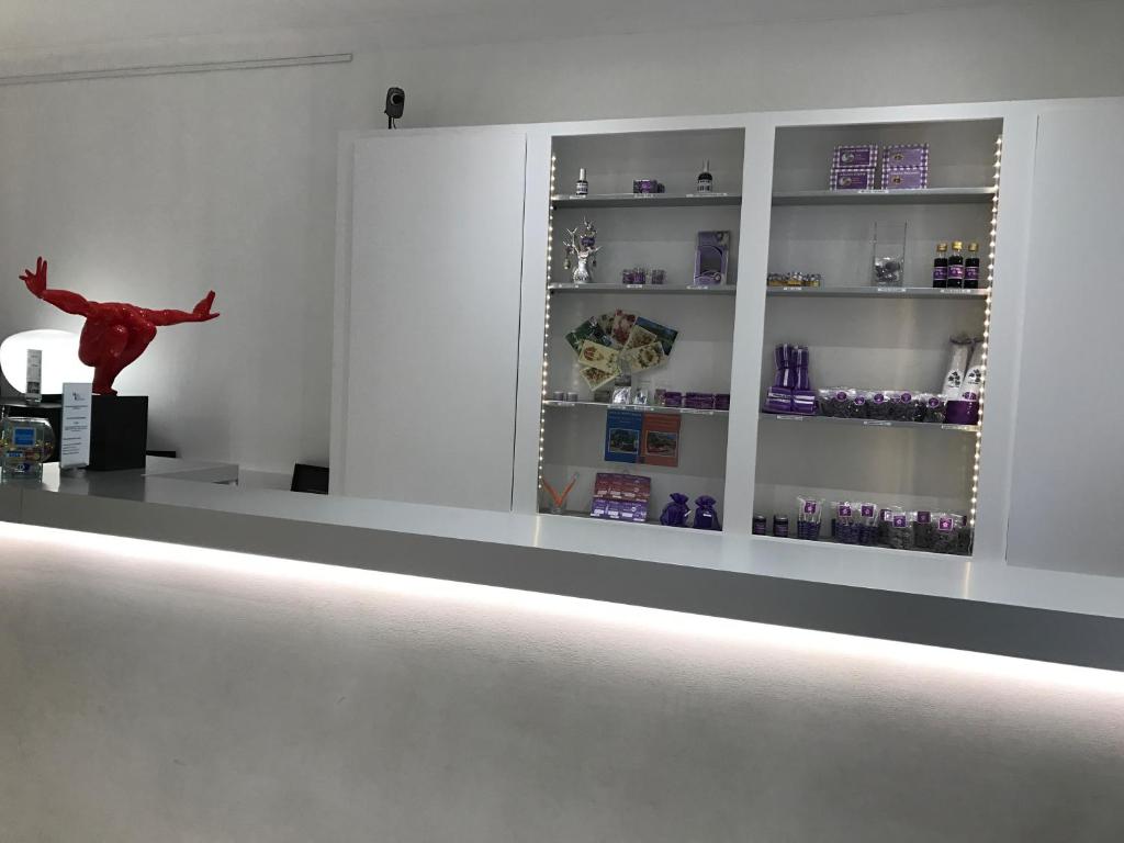 Hôtel Le Capitole - Resim 15