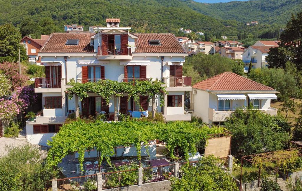 a house on a hill with a bunch of vines at Apartments Sijerkovic in Herceg-Novi