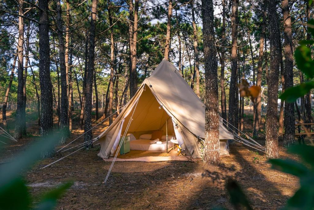 a tent in the middle of a forest at Kampaoh São Pedro de Moel in Marinha Grande