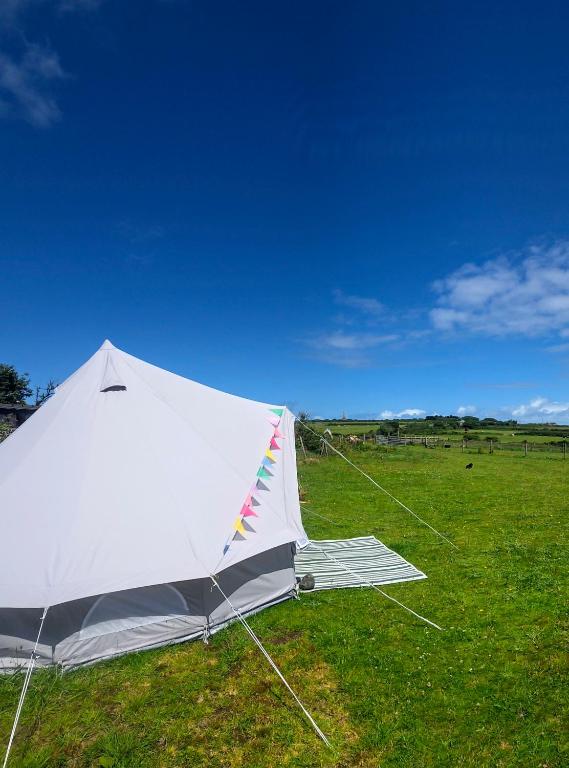 a white tent sitting in a field of grass at Emilies Bell Tent in St Ives