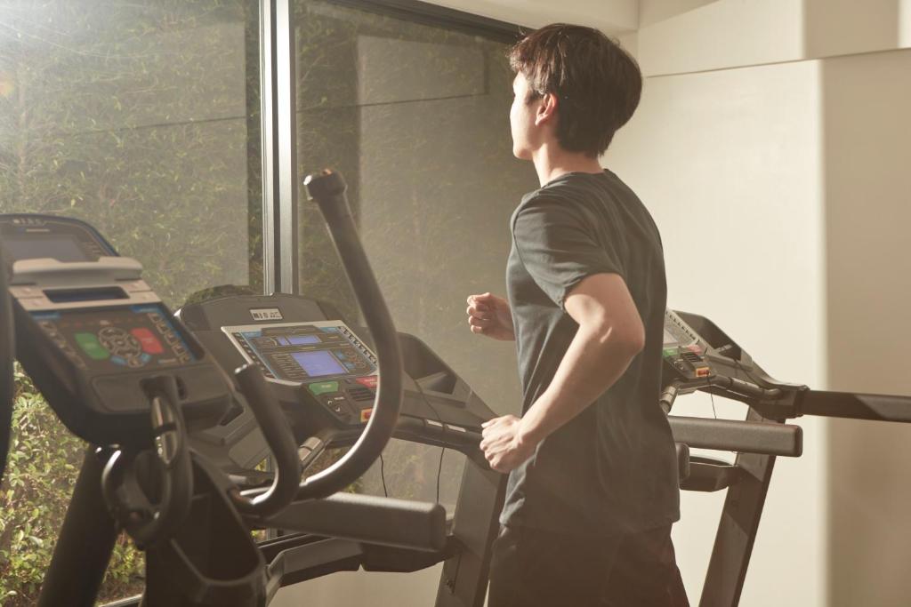 A treadmill-focused gym with large windows and leafy greenery outside.