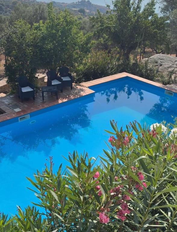 a swimming pool with blue water and chairs and trees at Residence Cassiodoro in Stalettì