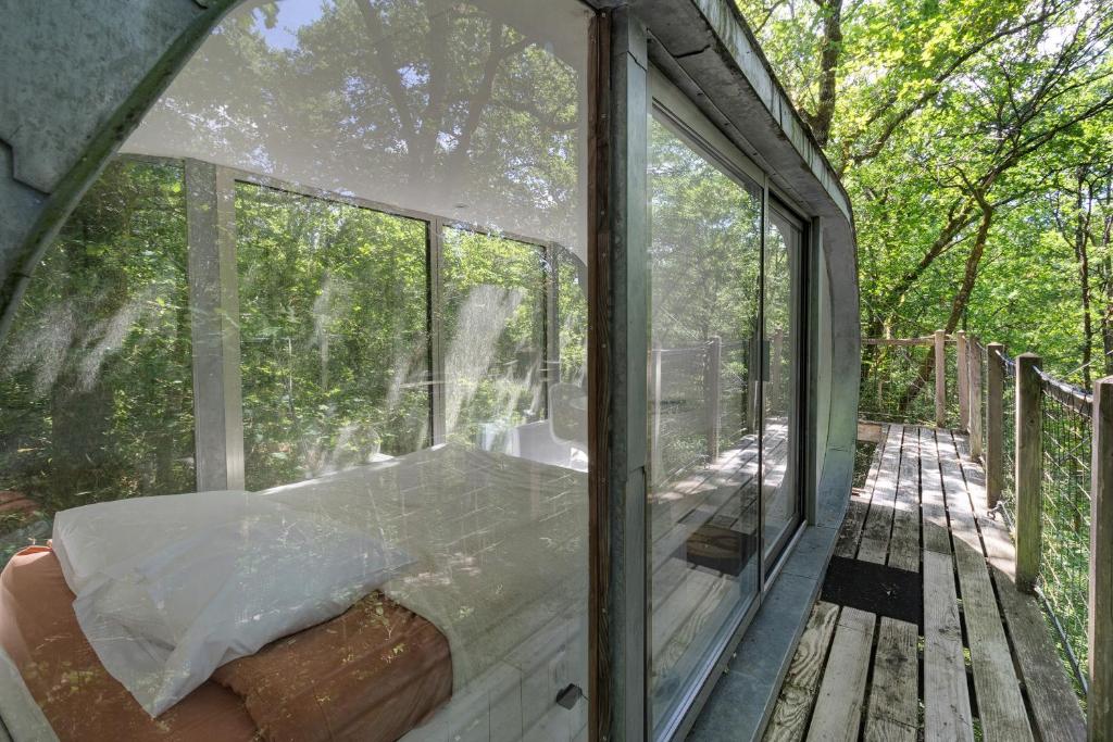a glass house with a view of the woods at Cabane Le Module in Angoisse
