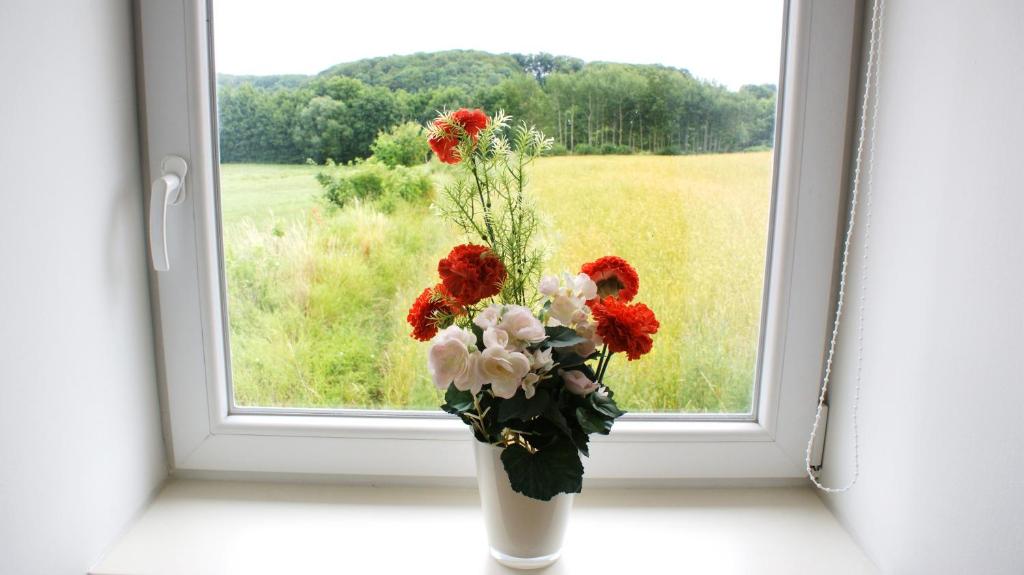 a vase with red and white flowers in a window at Schulwald in Westerholz