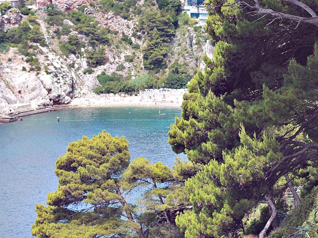 Príroda v okolí apartmánu