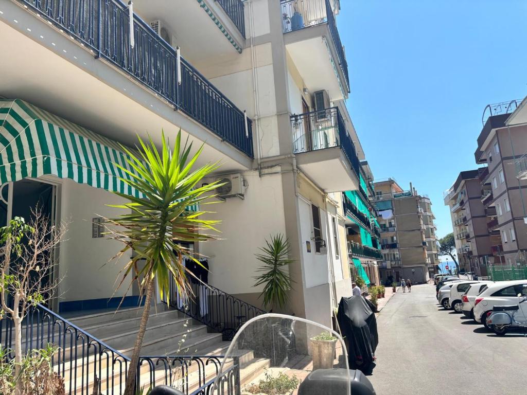 a building with a palm tree next to a street at Chicca House in Maiori