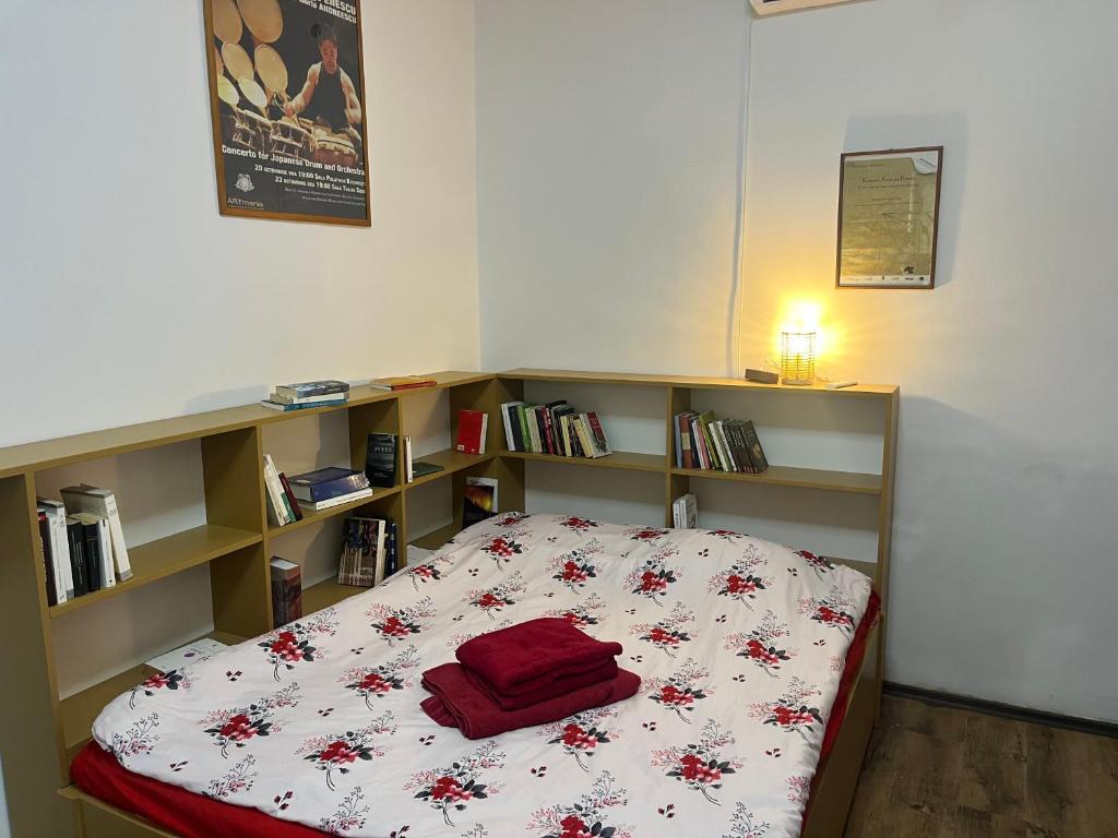 a bedroom with a bed and a book shelf at Bookworm Ultracentral Cozy, ultracentral apartment for people who appreciate comfort, details and books in Târgu-Mureş