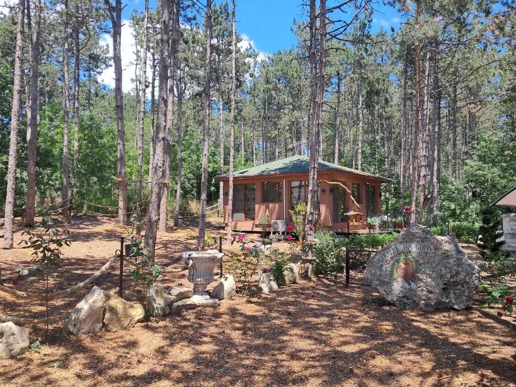 a small cabin in the woods with trees at Къща Шепотът на бора in Varna City