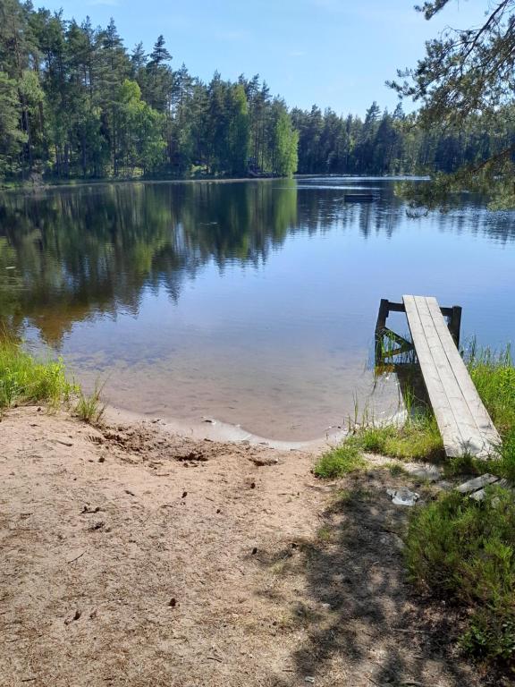 ein hölzerner Steg am Ufer eines Sees in der Unterkunft Forest lodge in Lohja