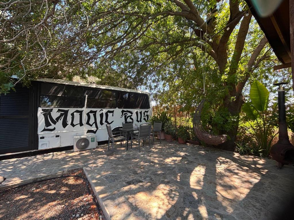 Imagine din galeria proprietății Magic Bus în Klorakas