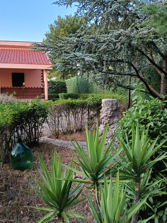 a garden with green plants and a house at Villa Rosa in Andria