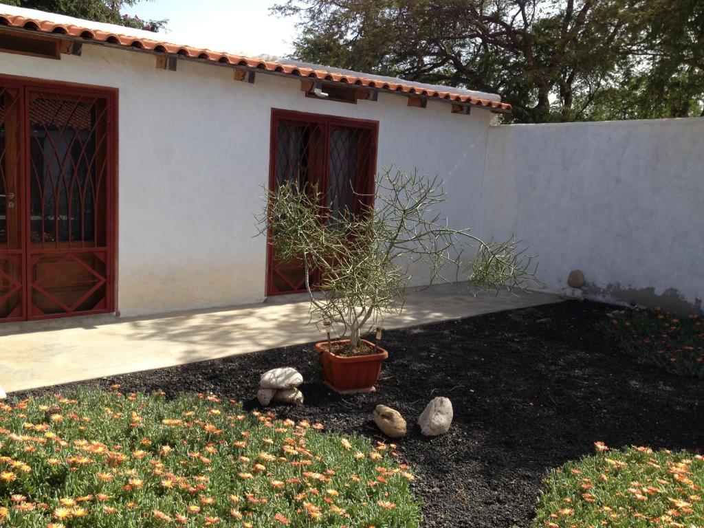 Zahrada ubytování Villa Morabeza Guest House