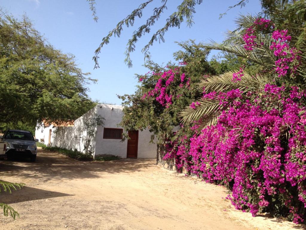 Zahrada ubytování Villa Morabeza Guest House