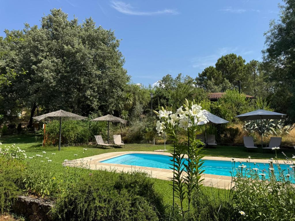a swimming pool in a garden with umbrellas at El Roble, casitas rurales in Valverde de la Vera