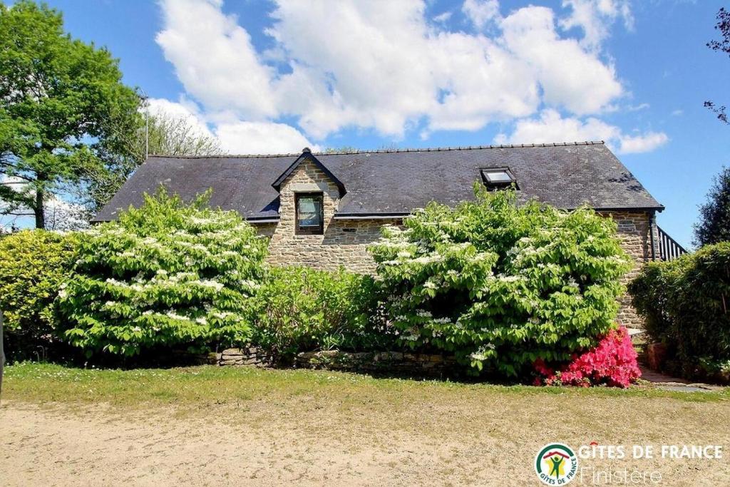 a house with two trees in front of it at Gîte Les Pieds dans L Herbe in Rosporden