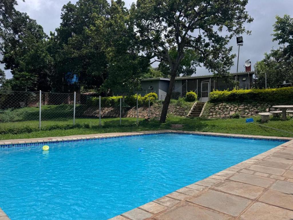 a swimming pool with blue water in a yard at 32 on Magasa in Blantyre