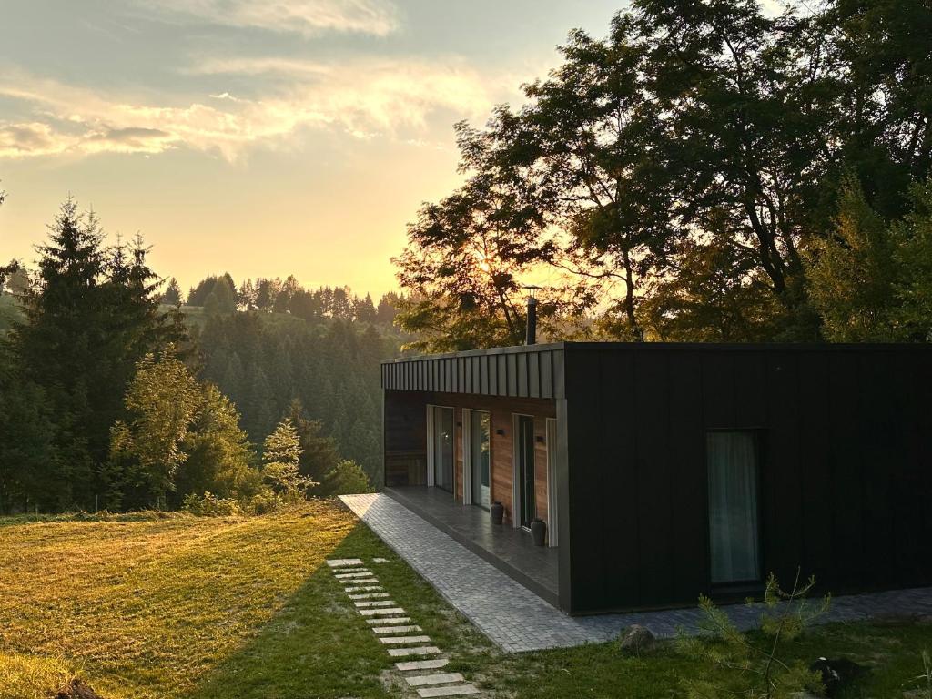 a black house in the middle of a field at Cabana Forest in Borşa