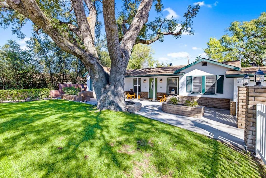 a house with a large tree in the yard at Victory On Vine in Paso Robles