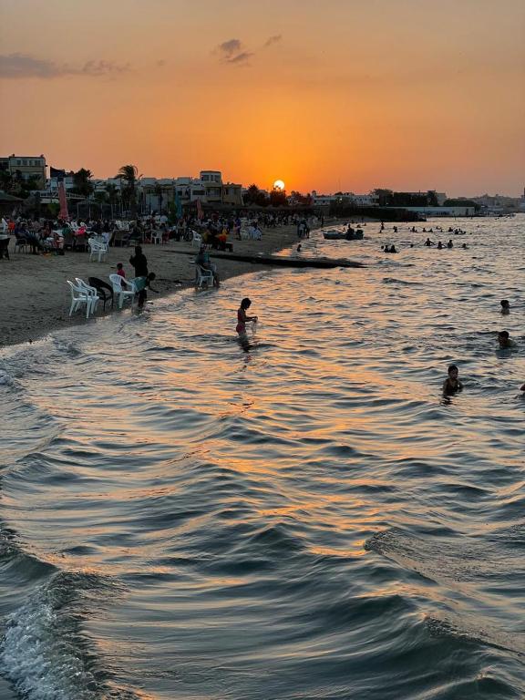 a group of people playing in the water at the beach at شقق قرية النورس in Ismailia