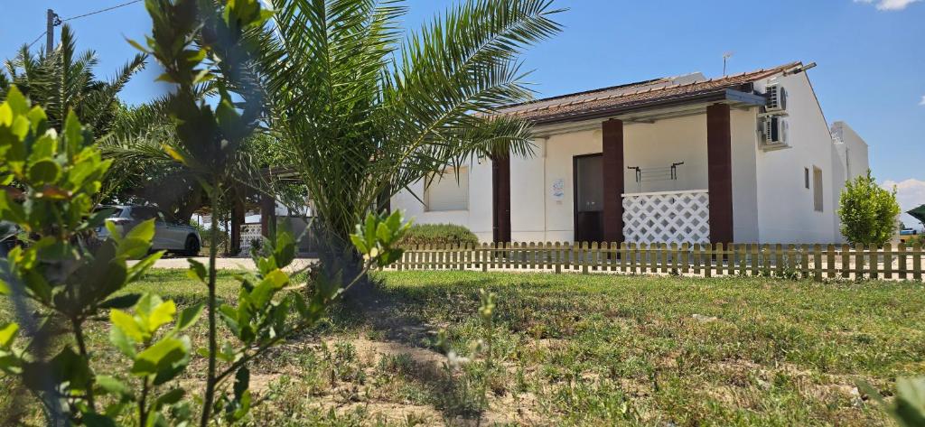 a house with a palm tree in the yard at Residence Canitano Casa Vacanze Giada & David in Scanzano