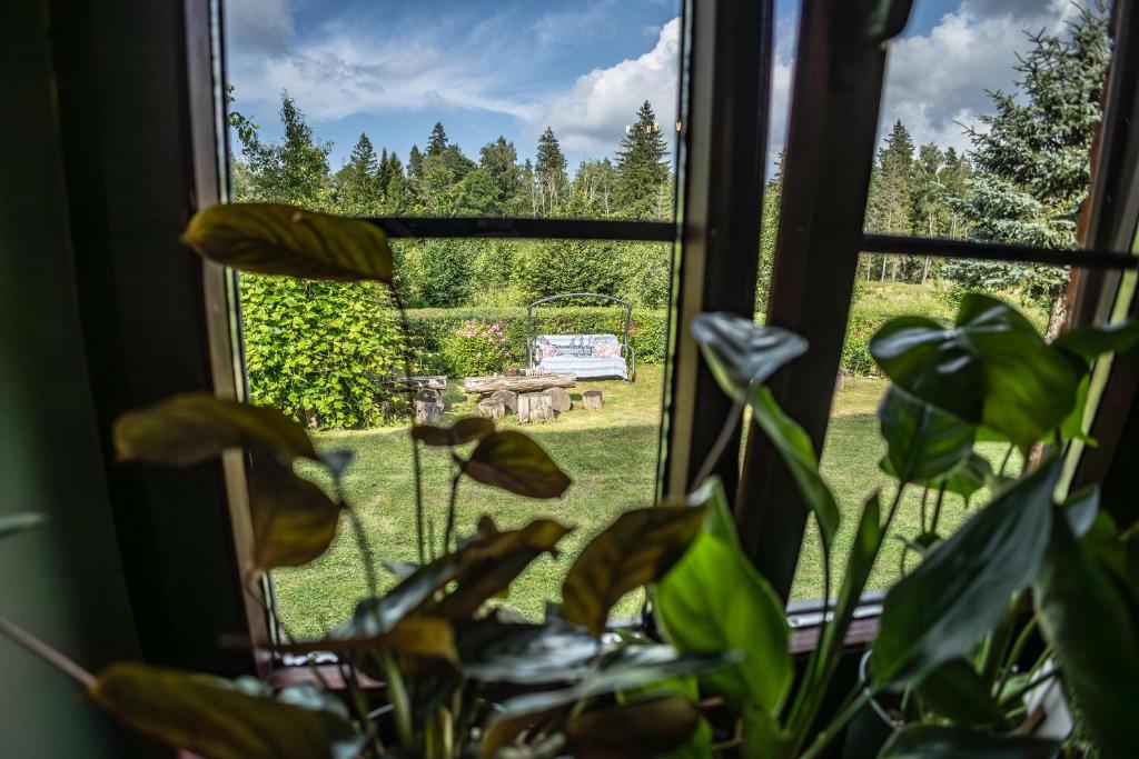 a window view of a garden from a plant at Pod lasem in Górowo Iławeckie