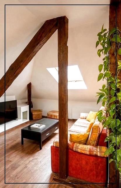 Exceptional loft Near Colmar center
