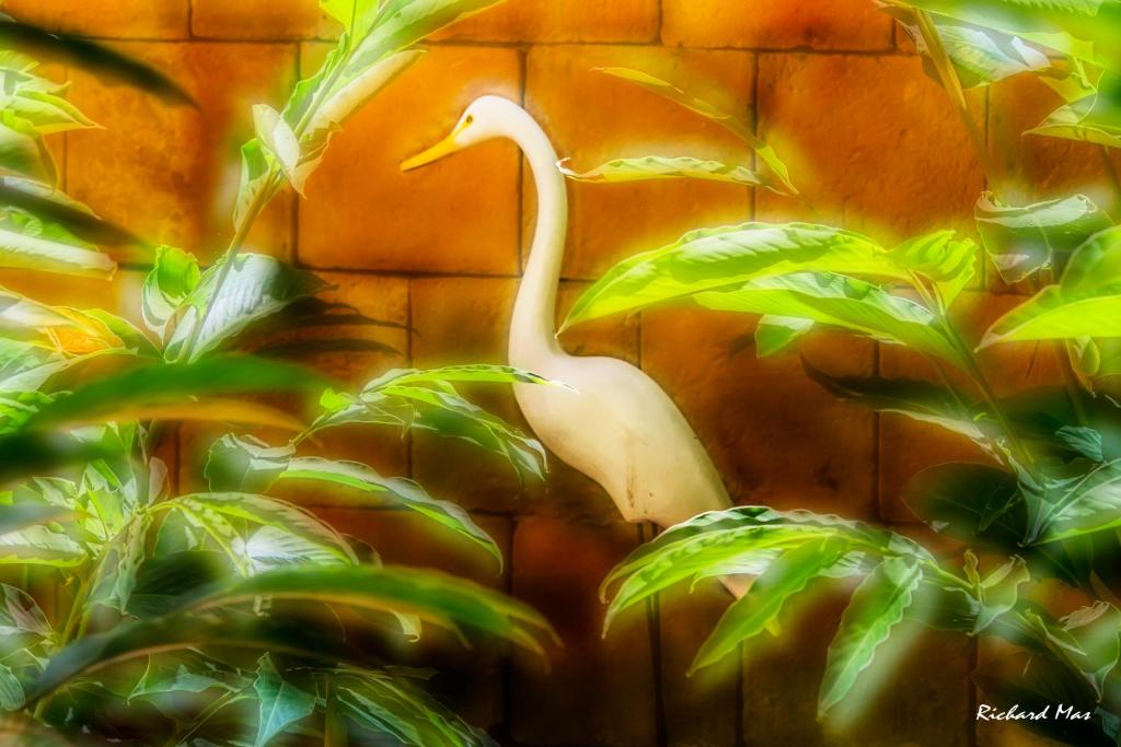 Fotografie z fotogalerie ubytování Jardim Secreto v destinaci Morro de São Paulo