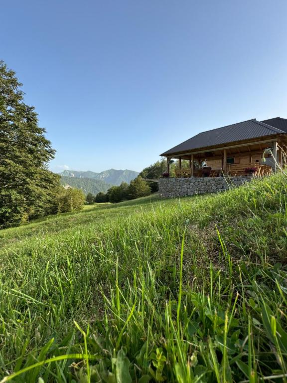 a house on top of a grassy hill next to a building at Melaya 1600 in Kolašin