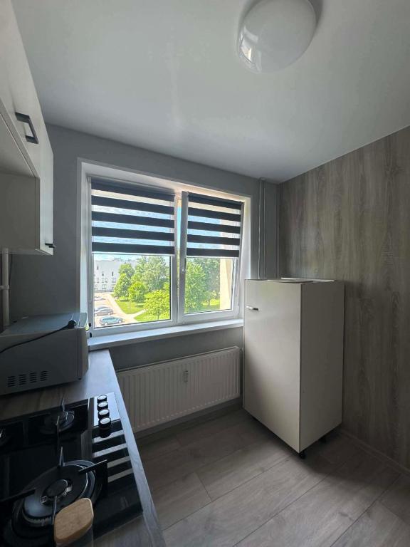 a kitchen with a white refrigerator and a window at Geri Apartamentai in Naujoji Akmenė