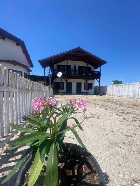 Eine Pflanze mit rosa Blüten vor einem Gebäude in der Unterkunft Casa Pescareasca - Complex Plaja Golf in Corbu